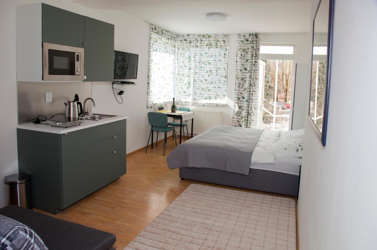 Apartman U Doktora 班斯卡-比斯特里察 外观 照片