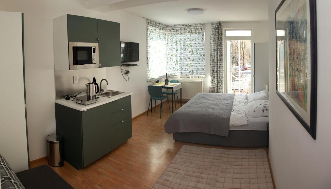 Apartman U Doktora 班斯卡-比斯特里察 外观 照片