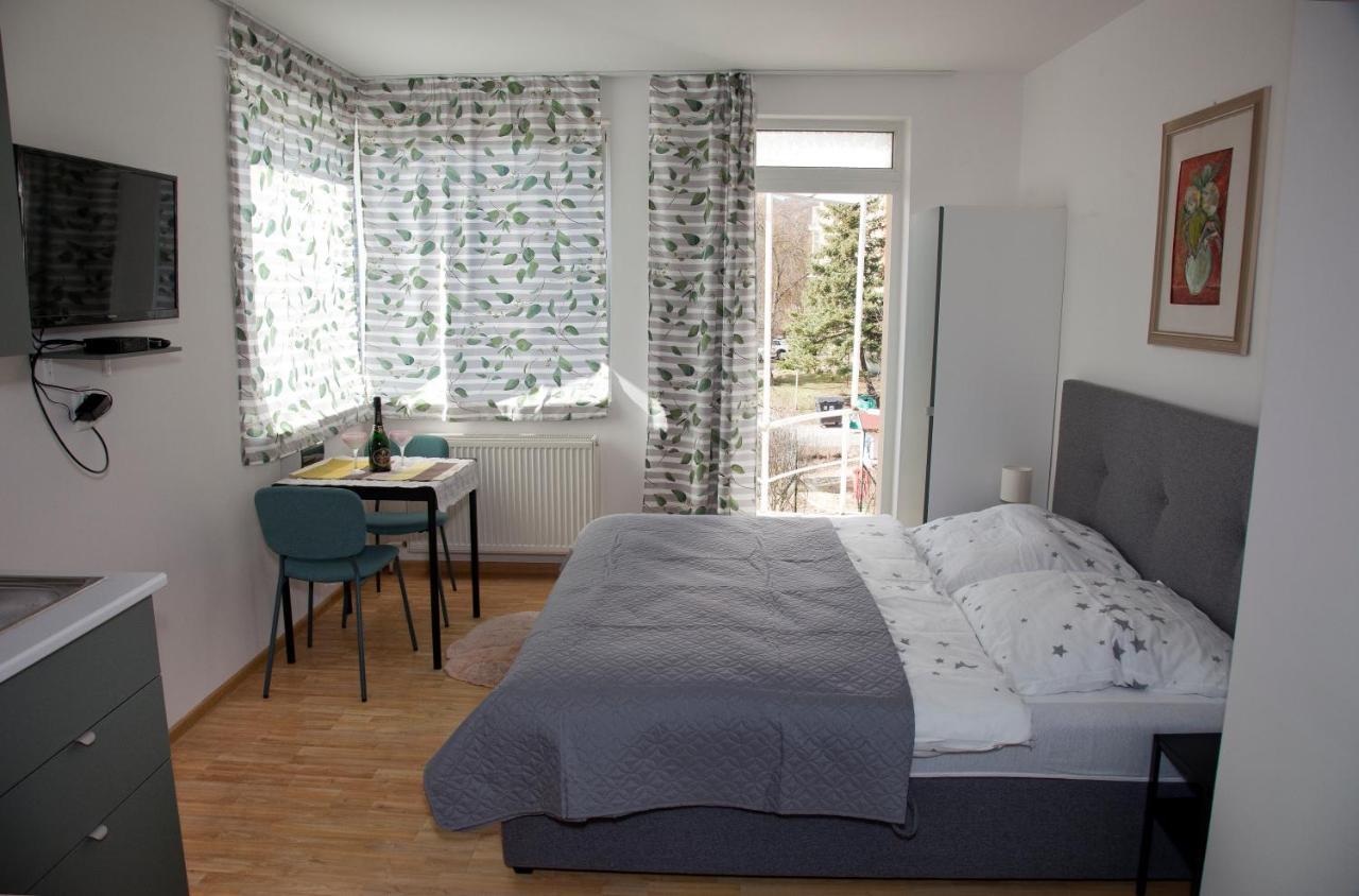 Apartman U Doktora 班斯卡-比斯特里察 外观 照片